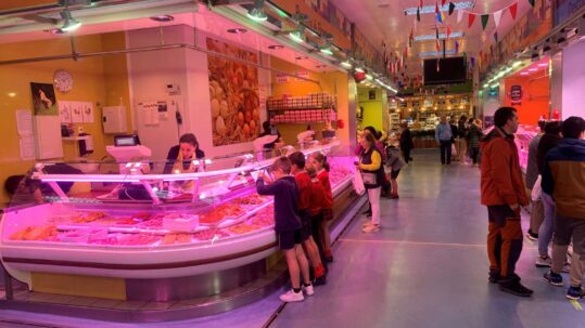 circulo primaria en el mercado sur de Burgos